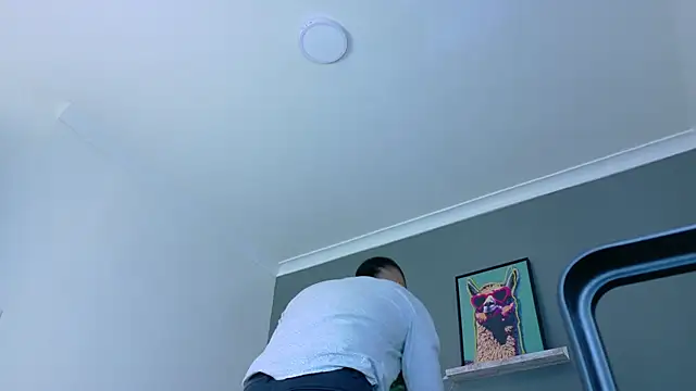 MrFox__ live sex cam