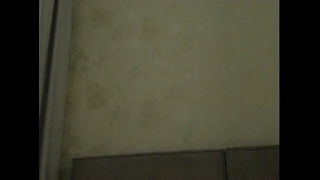 melissashineee's cam snapshot