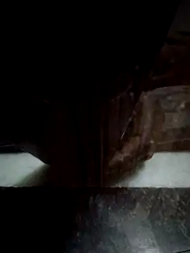 reena-sassy's cam snapshot