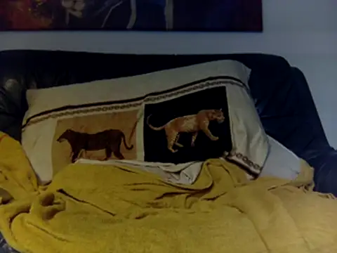 kimbo500 live sex cam