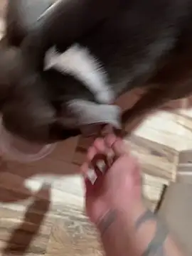 ImHisFavorite304_x live sex cam