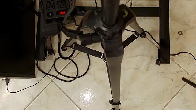 Thalia-Gil's cam snapshot