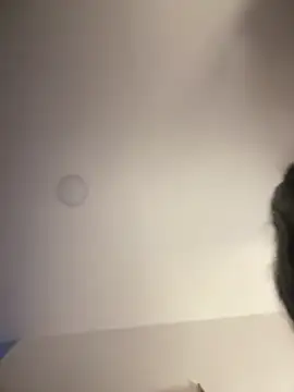 Saorii_kiido live sex cam