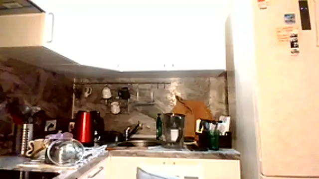 volkstein's cam snapshot