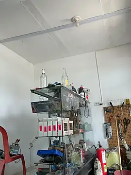 Paul22cm- live sex cam