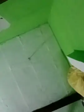 swartilodhi123's cam snapshot