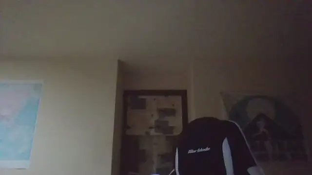 llopaco's cam snapshot