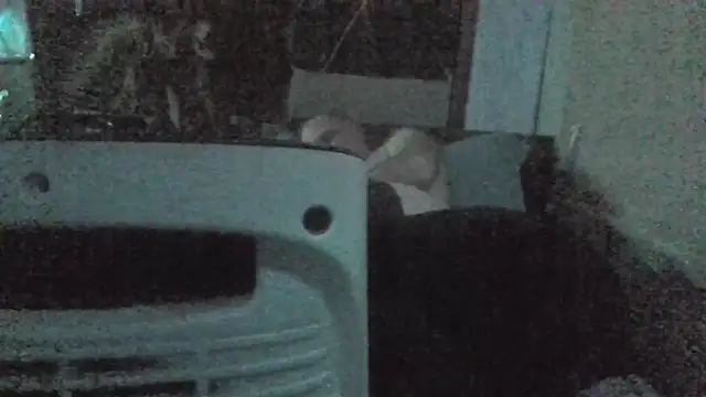 jaxx12369 live sex cam