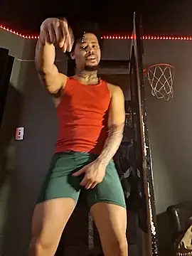 Painstickwes's cam snapshot