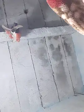 sapnaroy120's cam snapshot