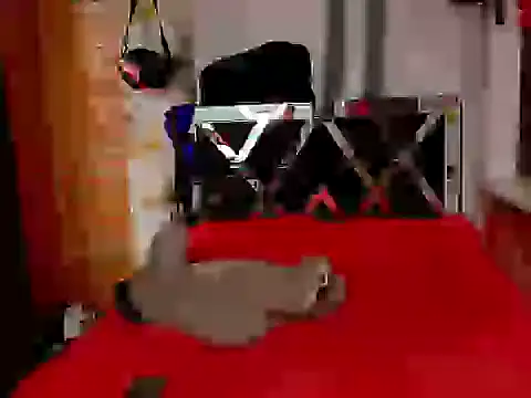 nova_kitttyy's cam snapshot