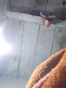 sapnaroy120's cam snapshot