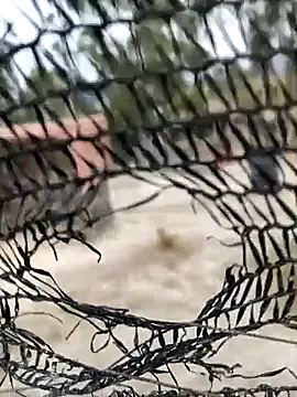 sexy-tean live sex cam