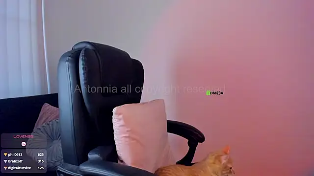 Anttonia_Rose live sex cam