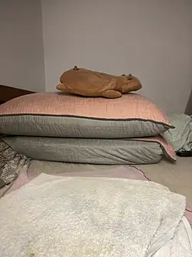 _yisela_ live sex cam