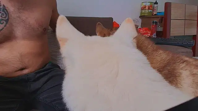 thomas_gun live sex cam