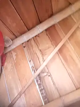 Mycansonhot's cam snapshot