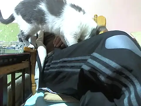 zormen355 live sex cam