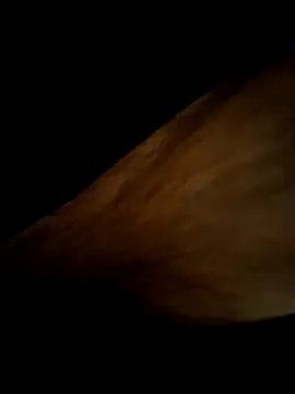 paulucio8 live sex cam