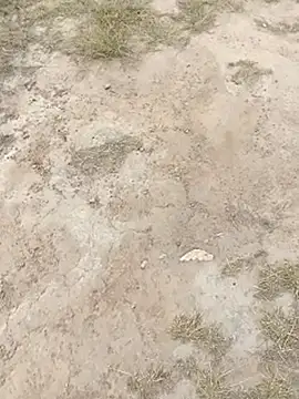 sexy-tean's cam snapshot