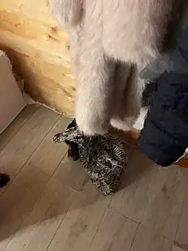 eddivad6974's cam snapshot