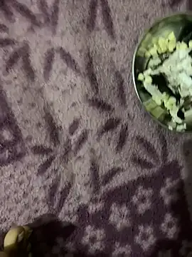 satisfyursoul's cam snapshot