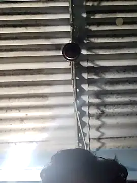 divyasree1431 live sex cam