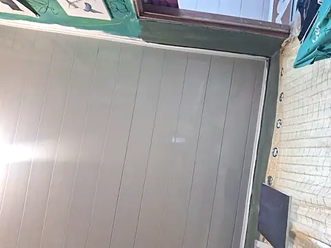 Toycockhot's cam snapshot