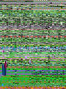 riya_sharma11's cam snapshot