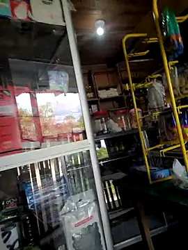 Evehamp live sex cam