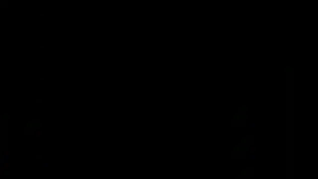 StereoSock live sex cam