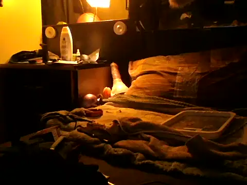 Slutviki69 live sex cam