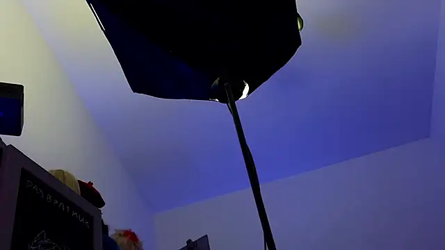 Rokutaku's cam snapshot