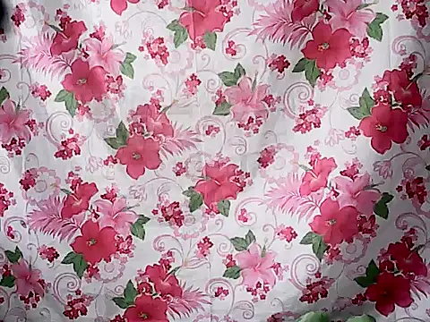 Sh1nbae22's cam snapshot