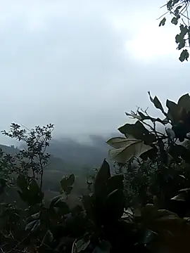 Nga_x9's cam snapshot