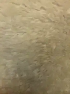 lasexycoquine59's cam snapshot