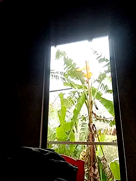 blonde_blg's cam snapshot