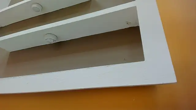 james__walsh live sex cam