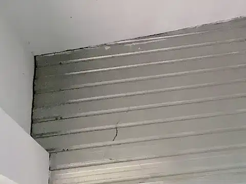 Osmeely's cam snapshot