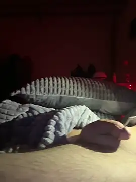 llioo22's cam snapshot