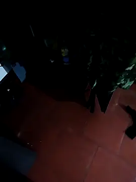 MonasticCanine's cam snapshot