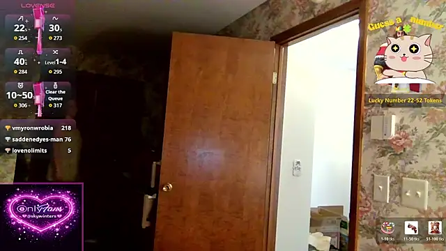 skywinters's cam snapshot