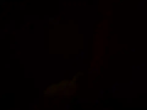 QueenNefertiti's cam snapshot