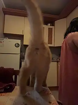 Naughtbaby_2025's cam snapshot