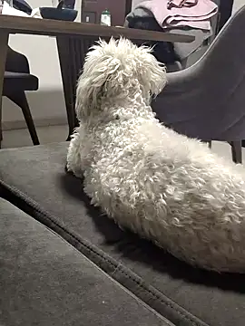 sakotodika's cam snapshot