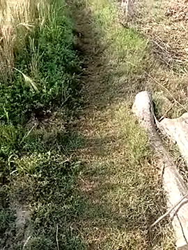 Hot_sexy_Monika's cam snapshot