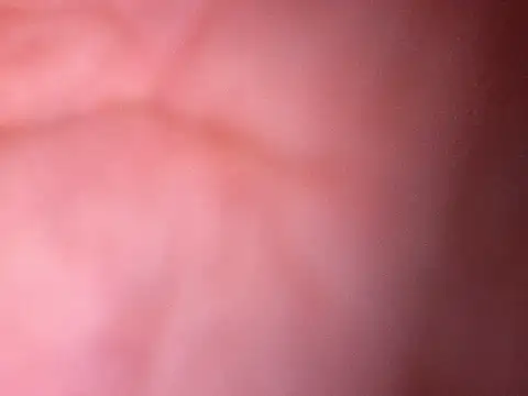 Ansiasex live sex cam