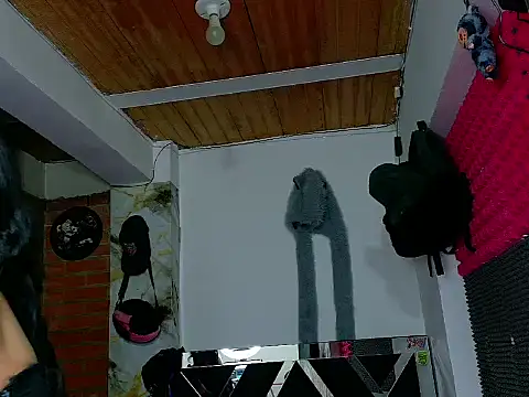 nova_kitttyy's cam snapshot