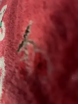 Velyn_18's cam snapshot