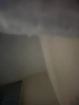 Paapii1098 live sex cam